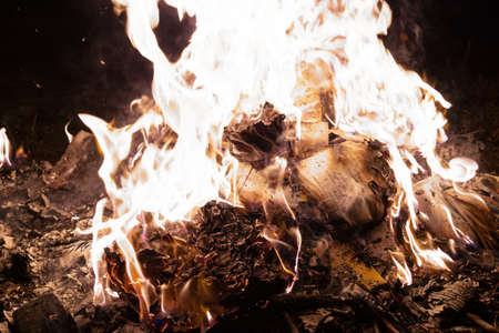 A low light underexposed photo of burning fire. Many sparks and flames. Burning books and wood.の写真素材