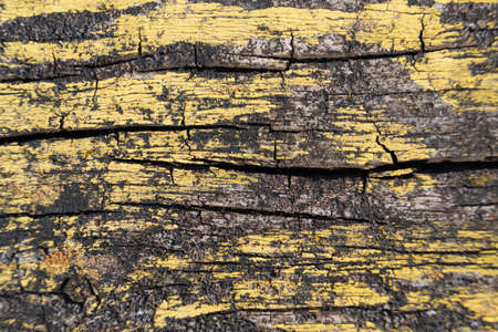 A part of old yellow wooden fence. The yellow paint on wood is old and cracked. Perfect painted wooden texture.の写真素材