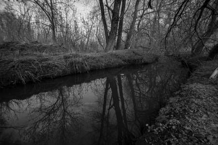 Small river in Chernobyl, Ukraine. Apocalyptic atmosphere. Radiation everywhere. Black and white monochrome photo.の写真素材