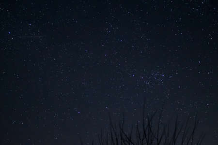 Long exposure night photo. A lot of stars with trees on foreground. Far from the city.