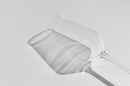 Champagne glass on white surface. Glass with shadow on white table.の写真素材