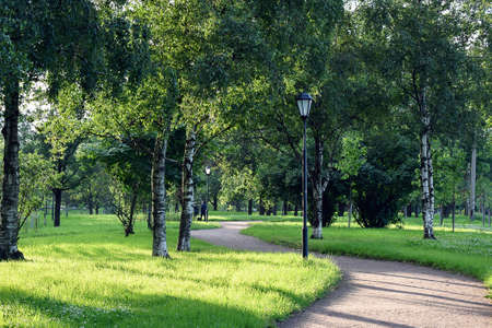 A path in an empty park, illuminated by the sunの写真素材