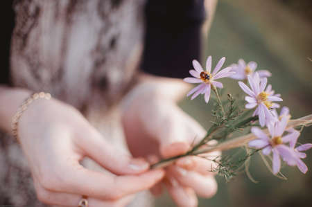 Ladybug sits on the outstretched hand of the girl with beautiful flowers in handの写真素材