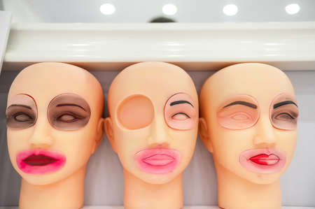 training dummies for permanent make-up, study and skillの写真素材