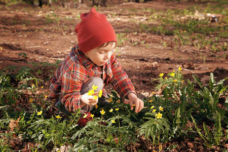 Happy cute little baby on a green grass lawn with blooming yellow flowers on a sunny spring or summer day. A child playing among the pines. A little boy dreams and rests collecting a bouquetの写真素材