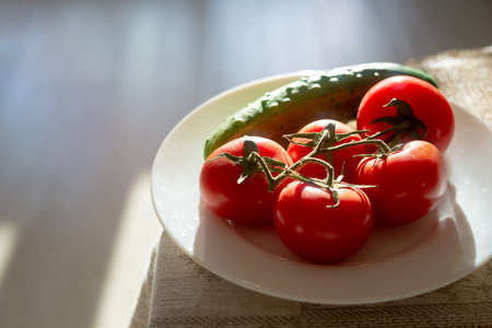 Tomatoes on a branch and a cucumber on a white plate. Backlit photo. Copspace.の写真素材
