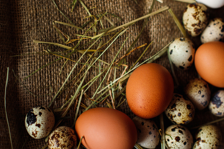 Fresh, raw eggs lie on the grass. Against the background of a tree. Texture of burlap. Organic background. Healthy eating. Easter compositionの写真素材