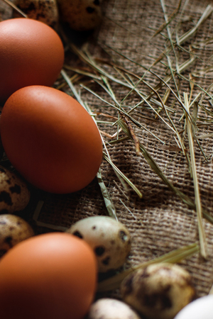Fresh, raw eggs lie on the grass. Against the background of a tree. Texture of burlap. Organic background. Healthy eating. Easter compositionの写真素材