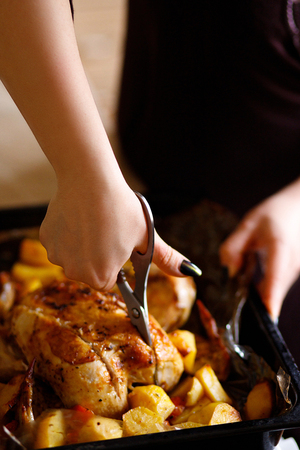 The womancooked chicken and fried potatoes. Submission of the finished dishes. Cutting fried chicken. Festive dish cooking.の写真素材