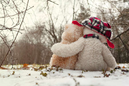 Two Teddy bears hugging each other sitting in the snow in the forest. The concept of love, relationships.の写真素材