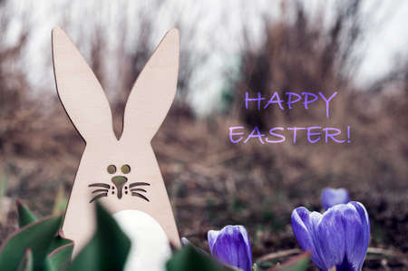 The Easter Bunny with an egg hides behind the blossoming crocuses. The concept of the Easter...