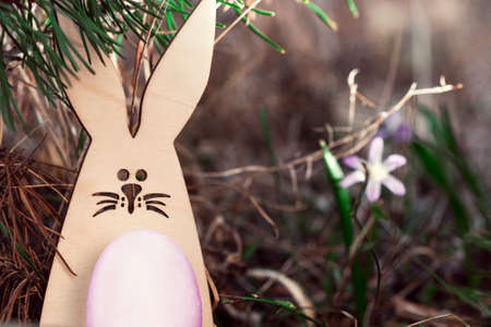An Easter Bunny with an egg hides under a pine branch. The concept of the Easter holidays