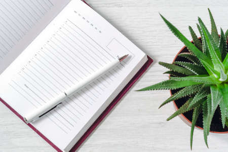 On a light wooden table, an open notebook with a pen and a Haworthia flower.の写真素材
