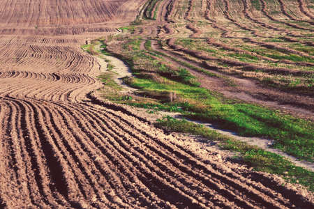 Abstract rural landscape. The field is divided by a country road into two parts. One part is plowed, the second with the harvest.の写真素材