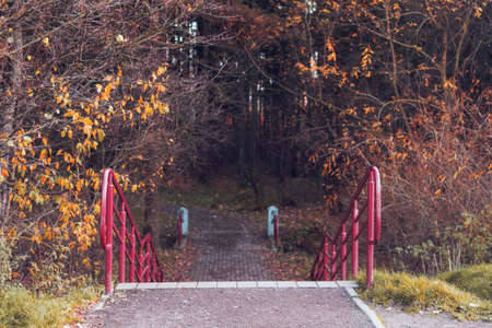 Stairs leading to the depth of the Park. Autumn landscape.