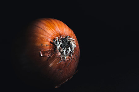 Photo of an onion on a dark background.の写真素材