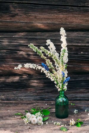 Rustic still life. A glass bottle with spring flowers on the background of the wall of a village house.の写真素材