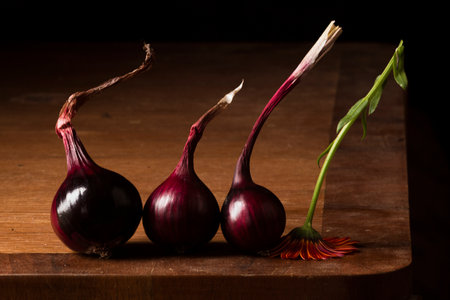 Three heads of red onions stand in a row. The inverted calendula flower closes the row.の写真素材