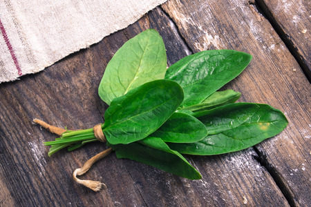 Bunch of spinach on rustic wooden background