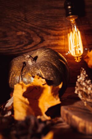 Autumn still life, pumpkins, light bulb and dry leaves on rustic backgroundの写真素材
