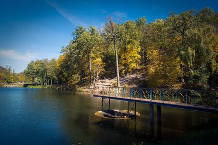 Autumn in the park, fall seasonの写真素材