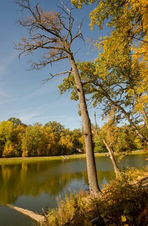 Autumn in the park, fall seasonの写真素材