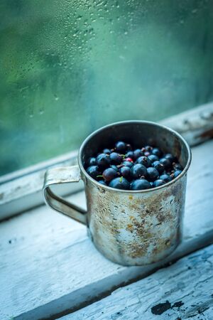 Stainless steel cup with sweet summer berries in the daylightの写真素材