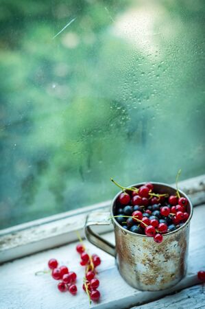 Stainless steel cup with sweet summer berries in the daylight
