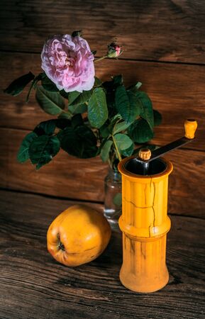 Rural still life with old coffee/pepper grinder and appleの写真素材