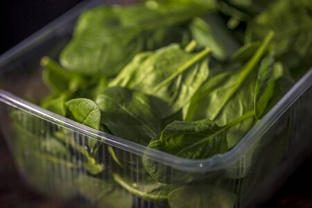 Green leaves of baby spinach on wooden backgroundの写真素材