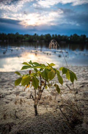 Beautiful sunset on the Desna riverの写真素材