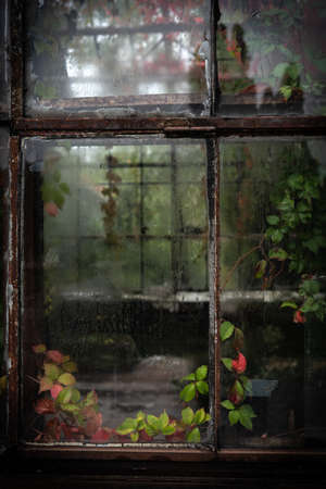 Rusty windows of the old abandoned greenhouseの写真素材