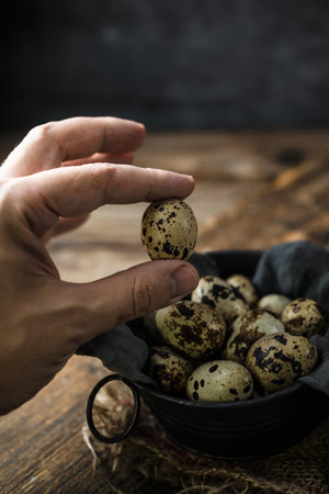 Raw quail eggs in egg box on rustic wooden backgroundの写真素材