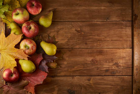 Autumn still life with fruits and vegetables: apples, pears and pumpkin on fallen leavesの写真素材