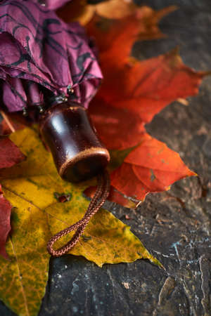 Rainy still life with an umbrella and fallen maple leaves on concrete backgroundの写真素材