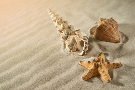 Starfish and sea shells on a beachの写真素材