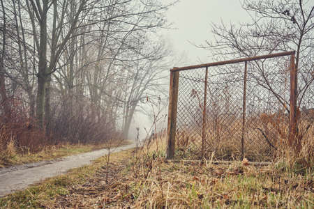 Misty landscape, foggy november forest, autumn gardenの写真素材