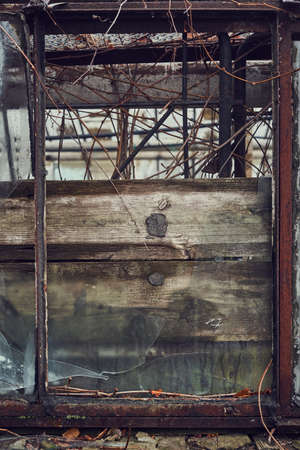 Distressed window of the abandoned ruined greenhouse