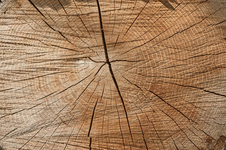 Old wood texture with natural pattern. Abstract background and texture for design.の写真素材