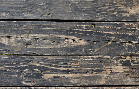 Old wood texture. Abstract background for design. Wooden planks.の写真素材