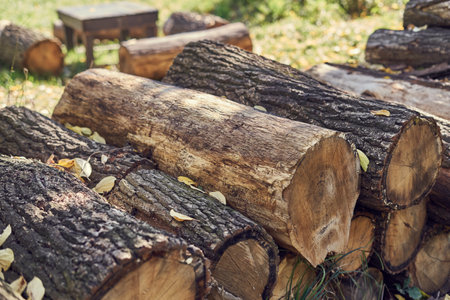 Pile of firewood in the forest, close-up.の写真素材