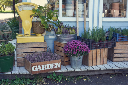Gardening tools and flowers in pots on a wooden bench.の写真素材