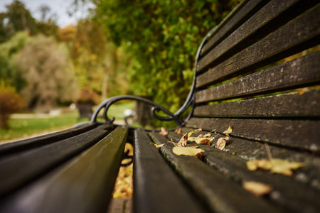 Wooden bench in autumn park with fallen leaves, selective focus.の写真素材