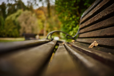 Wooden bench in the park with autumn leaves on it. Selective focus.の写真素材