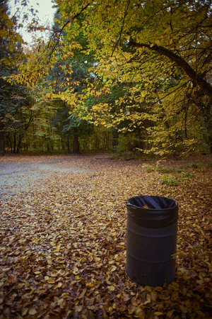 Trash can in the autumn forest with fallen leaves on the groundの写真素材