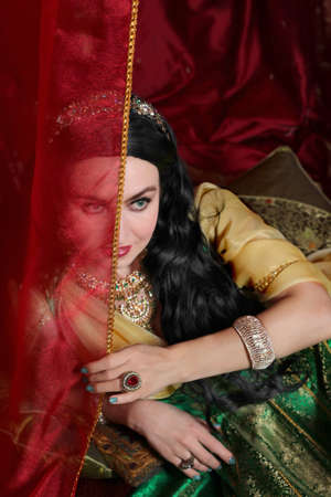 A girl in a Turkish Ottoman historical costume in the style of the magnificent century. Eastern style.の写真素材