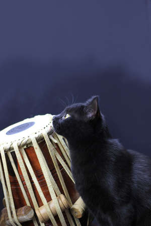 Black and Indian tabla drums on a black background. close up