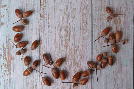 Acorns on a light wood background. Copy spase.