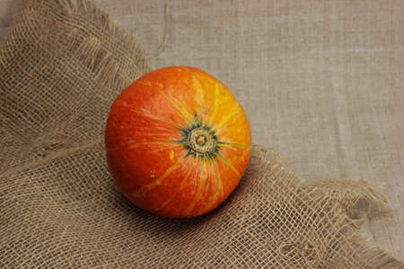 Halloween autumn still life. Pumpkin, candles in bottles, herbs. Light canvas background. Copy space.の写真素材