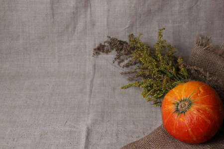 Halloween autumn still life. Pumpkin, herbs. Light canvas background. Copy spaceの写真素材